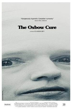 Poster The Oxbow Cure 2013