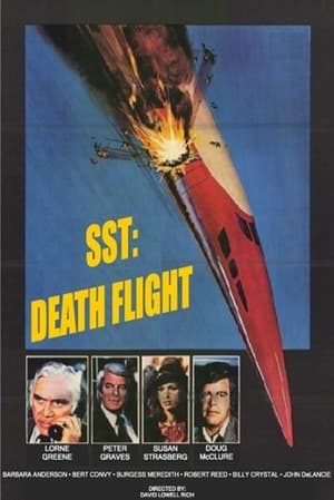 Poster Mystery Science Theater 3000: SST: Death Flight 1989
