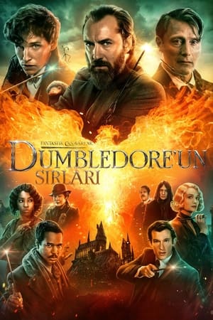 Poster Fantastik Canavarlar: Dumbledore'un Sırları 2022