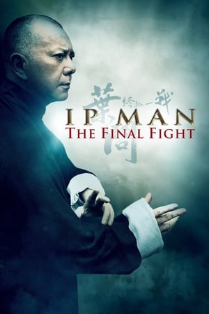 Image Ip Man - Final Fight