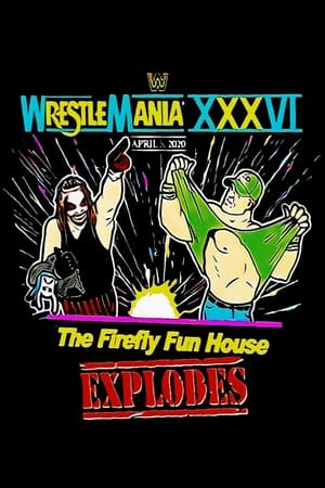 Poster The Firefly Funhouse Match 2020