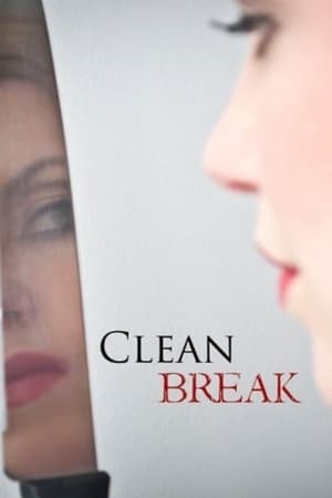 Image Clean Break