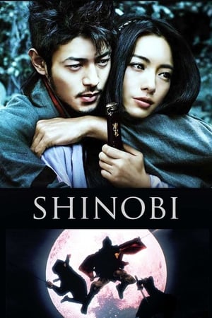 Poster Shinobi - Kampf auf Liebe und Tod 2005