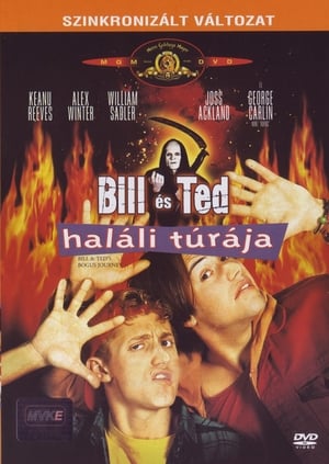 Poster Bill és Ted haláli túrája 1991