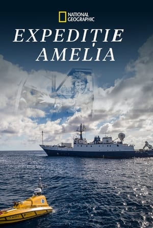 Image Expedition Amelia