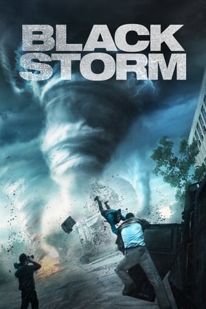Poster Black Storm 2014