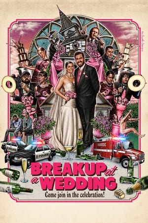 Poster Breakup at a Wedding 2013