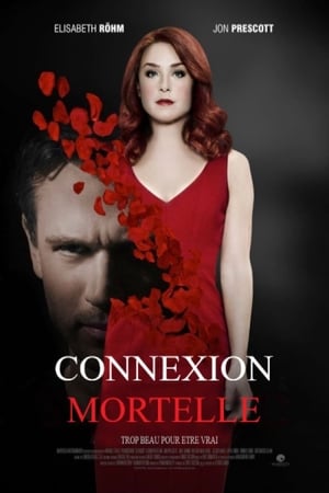 Poster Connexion Mortelle 2016