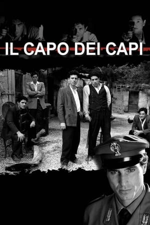 Poster Corleone 2007