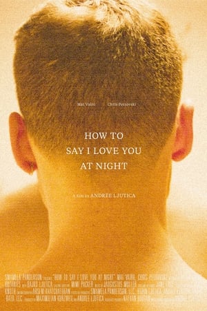 Poster How to Say I Love You at Night 2020
