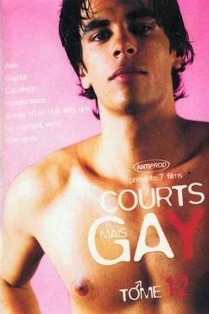Poster Courts mais Gay : Tome 12 2006