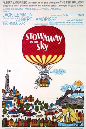 Image Stowaway in the Sky