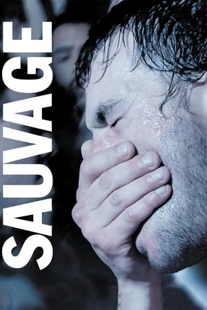 Poster Sauvage 2018