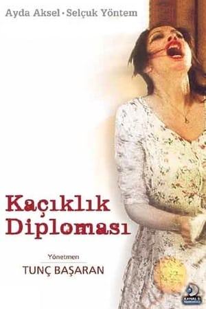 Poster Kaçıklık Diploması 1998