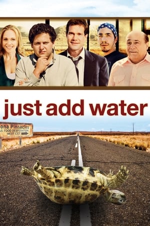 Poster Просто добавь воды 2008