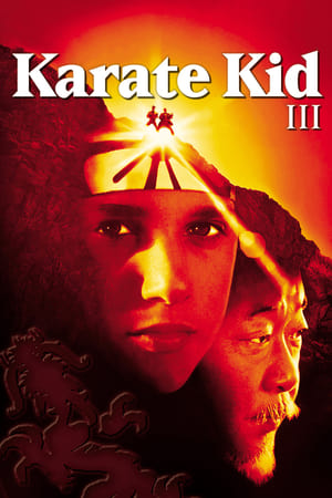 Image Karaté Kid III