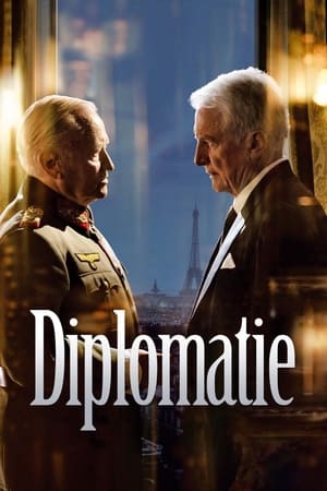 Poster Diplomati 2014