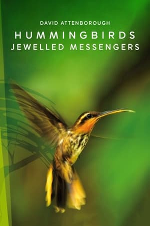 Poster Hummingbirds: Jewelled Messengers 2012