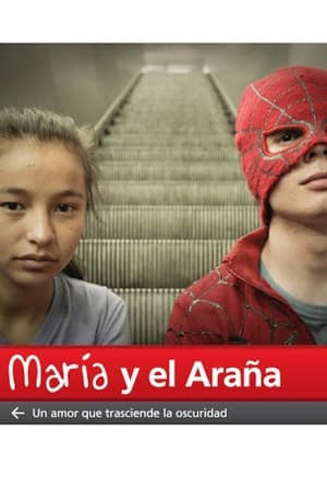 Poster María y el Araña 2013