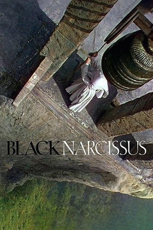 Image Black Narcissus
