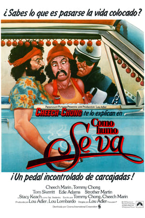 Poster Como humo se va 1978