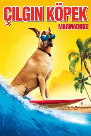 Poster Çılgın Köpek 2010