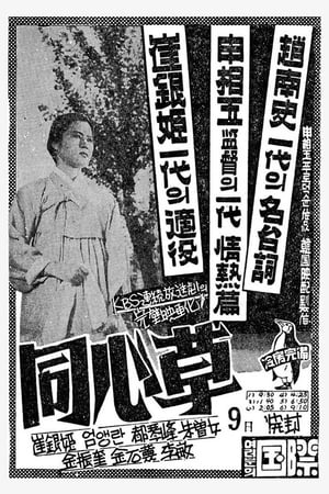 Poster 동심초 1959