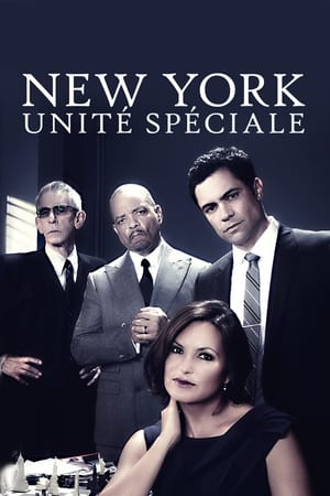 Poster New York : Unité spéciale 1999