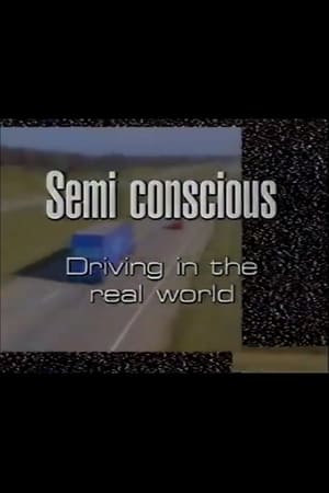 Image Semi-Conscious: Driving in the Real World