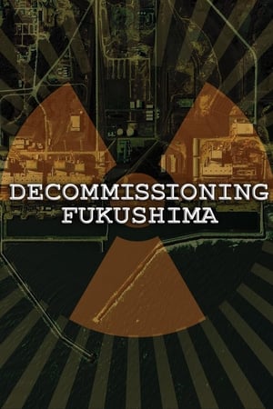 Image Decommissioning Fukushima: The Battle to Contain Radioactivity