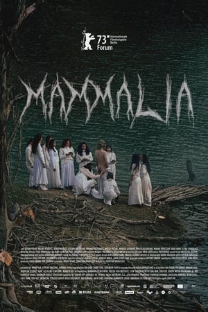 Poster Mammalia 2023