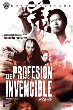 Poster De profesión invencible 1972