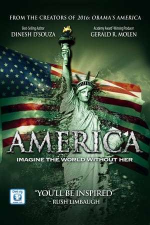 Poster América: Imagine o Mundo sem Ela. 2014