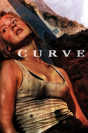 Poster Curve 2015