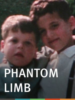 Poster Phantom Limb 2005