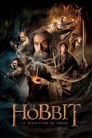 Poster Le Hobbit : La Désolation de Smaug 2013