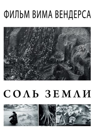 Poster Соль земли 2014