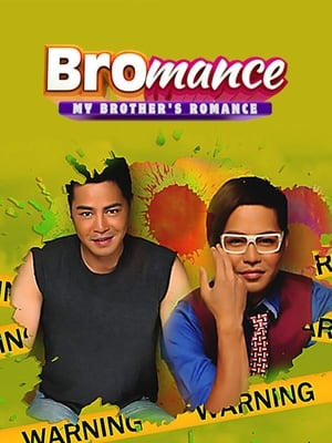 Poster Bromance: My Brother's Romance 2013