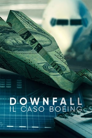 Image Downfall: il caso Boeing
