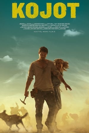 Poster Kojote 2017