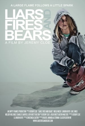 Image Liars, Fires and Bears