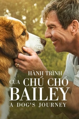 Poster Hành Trình Của Chú Chó Bailey 2019