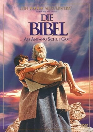 Poster Die Bibel 1966