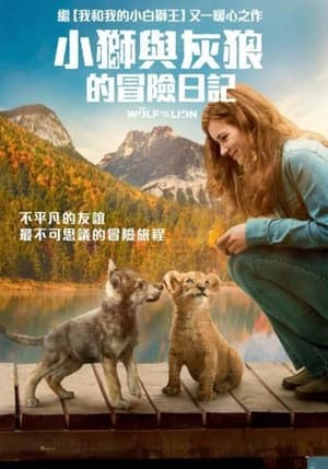 Poster 狼与狮子 2021