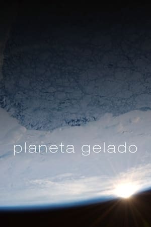 Poster Planeta Gelado 2011