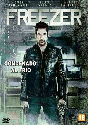 Poster Freezer 2014