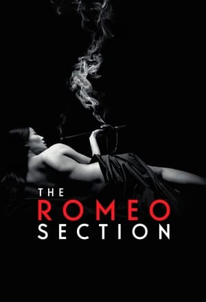 Poster The Romeo Section 2015