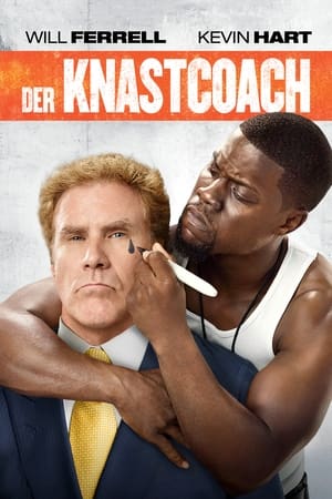 Poster Der Knastcoach 2015