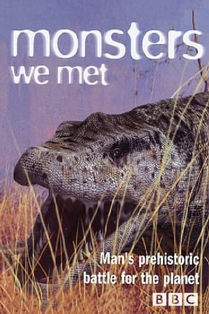 Poster Monsters We Met 2003