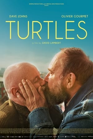 Poster Turtles 2024